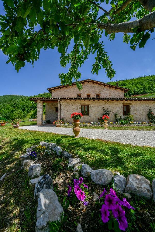 فيلا Agriturismo La Valle Dei Bronzetti كاشا المظهر الخارجي الصورة